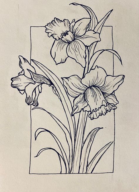 Flower Drawing Daffodil, Daffodils Drawing Simple, Narciss Flower Drawing, Daffodil Sketch Tattoo, Drawing Of Daffodils, Daffodil Sketch Simple, Daffodil One Line Drawing, Daphadil Flower Drawing, Daffodil Coloring Pages