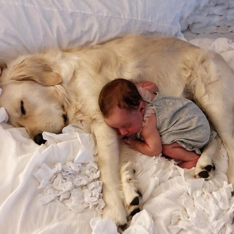 21 Photos of Dogs and Babies Napping Together That Will Make Your Heart Physically Ache Family Dog Aesthetic, Dog And Baby Pictures, Babies With Dogs, Puppies And Babies, Babies And Dogs, Napping Together, Family With Dog, Dog And Baby, Lode A Dio