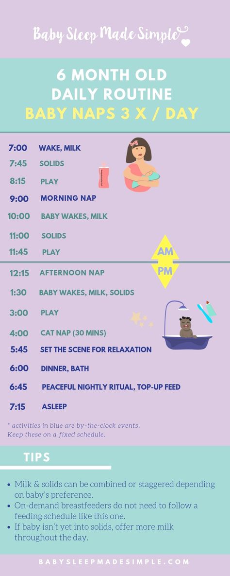 Expert tips on how to sleep train your 6 month old baby, and the steps that will get your baby sleeping through the night. Includes samples of daily feeding, activity and sleep schedules and solutions to common problems, like the 6 month sleep regression. #babysleepmadesimple #sleeptraining #sleepschedule #dailyschedule #feedingschedule #6monthold #6montholdbaby #sleepthroughthenight #dailyschedule #dailyroutine #6monthsleepregression #baby #children #parents 6 Month Sleep Regression, Baby Schlafplan, Baby Routines, Developmental Activities, Baby Routine, Baby Feeding Schedule, Baby Schedule, Baby Sleep Schedule, Baby Life Hacks