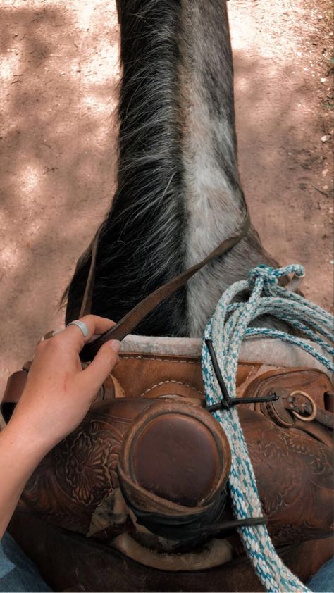 Horseback Riding Western, Horse Trail Ride Aesthetic, Western Trail Riding, Trail Ride Aesthetic, Trail Riding Aesthetic, Western Riding Aesthetic, Riding Horse Aesthetic, Horseback Riding Aesthetic, Western Horse Riding