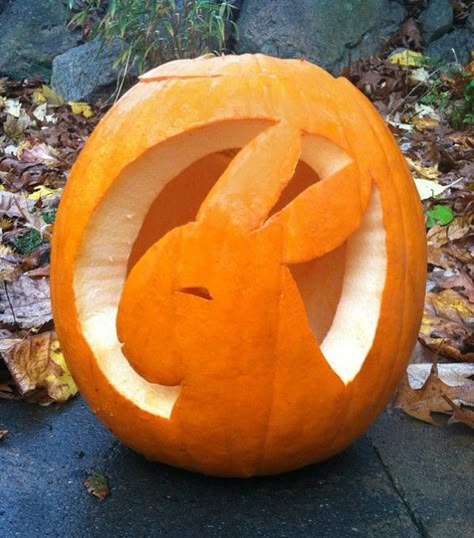 Bunny Rabbit Jack O'-Lantern | via My House Rabbit Rabbit Jack O Lantern, Pumkin Carving Bunny, Bunny Carved Pumpkin, Bunny Jack O Lantern, Rabbit Pumpkin Carving, Bunny Pumpkin Carving, Bunny Pumpkin, Animal Pumpkin Carving, Pumkin Decoration