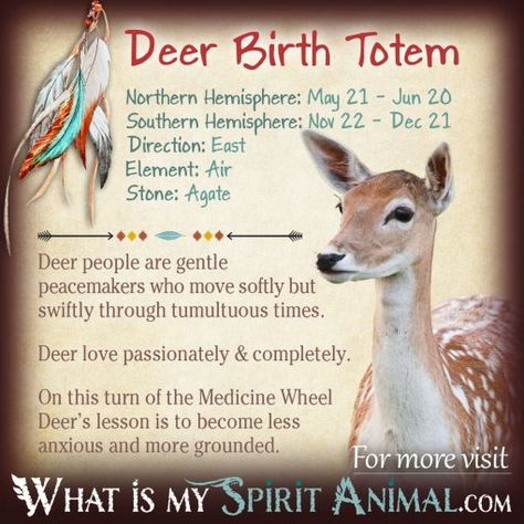 Native American Zodiac & Astrology | Birth Signs & Totems What Is My Spirit Animal, Birth Totem, Personality Compatibility, Deer Totem, Native American Astrology, Native American Zodiac, Celtic Zodiac, Spirit Animal Meaning, Birth Signs