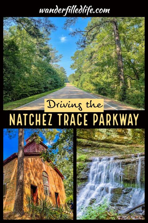 Natchez Trace State Park Tennessee, Natchez Trace Parkway Road Trips, Tennessee Living, 40 Anniversary, Natchez Ms, Visit Mississippi, Natchez Trace Parkway, Nashville Travel Guide, Nashville Travel