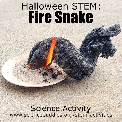 Spooky #Halloween #STEM -- Explore chemical reactions with an eerie "fire snake" that seems to grow out of nowhere.   #scienceactivity #HalloweenScience #scienceteacher #scienceproject #K12science #scienceisfun #science #sciencefair Halloween Research Projects, Dirt Science Experiment, Preschool Fire Experiment, Fire Experiments For Preschoolers, Easy Chemical Reaction Experiments, Science Experiments For Halloween, Spooky Experiments For Kids, Reactive Science Experiments, Second Grade Science Projects