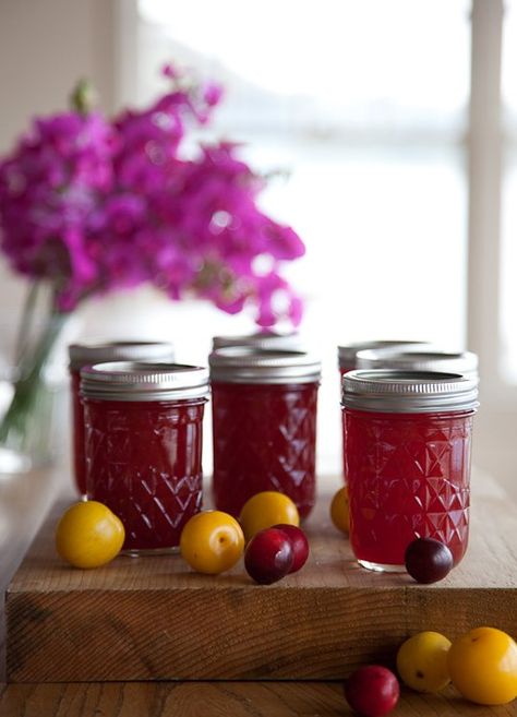 Recipe:  Wild Plum Jam   Recipes from The Kitchn  -  http://www.thekitchn.com/recipe-wild-plum-jam-recipes-from-the-kitchn-193220 Wild Plum Jam Recipe, Wild Plum Jam, Foraged Recipes, Homemade Jellies, Canning Plums, Plum Jam Recipes, Jam Making, Plum Trees, Wild Plum