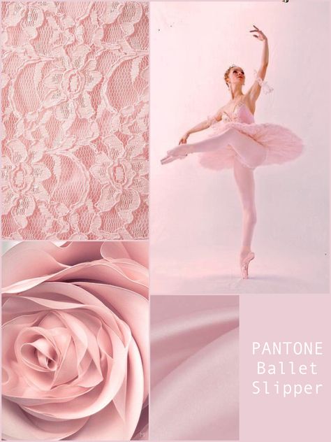 PANTONE Ballet Slipper Ballerina Color Palette, Nova Logo, Color Science, Pantone 2017, Pink Yarrow, Pantone Colors, Theme Color, Ballet Pink, Pink Themes