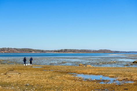 Freeport + Yarmouth in 48 Hours - The Maine Mag Yarmouth Maine, Maine Beach, Maine Beaches, Bull Moose, Maine Travel, Beer Company, Main Street, Day Trips, Outdoor Gear