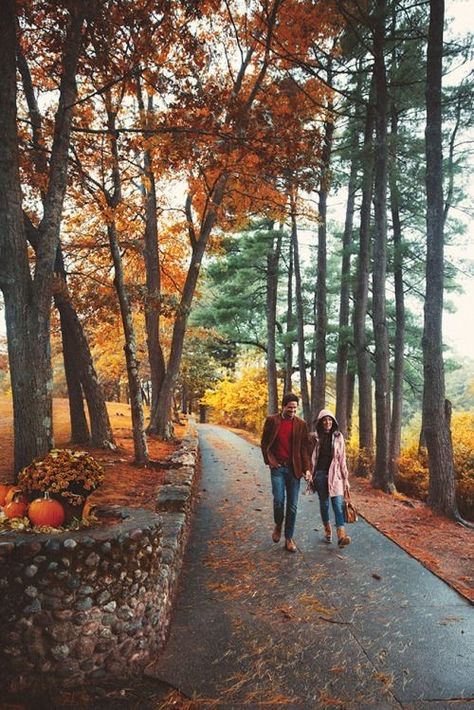 Sarah Vickers, James Patrick, Autumn Scenery, Fall Photoshoot, Autumn Beauty, Best Seasons, Fall Pictures, Lombok, Autumn Aesthetic