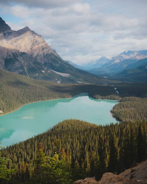 Happy World Photography Day! Here are 20 of some of my favorite photos I’ve taken in National Parks since they are one of my favorite things to photograph. 🤍 It took entirely too long to go though my thousands of photos and pick out some favorites, but it was fun reliving some trips again. 📍Peyto Lake, Banff National Park 📍Two Jack Lake, Banff National Park 📍Hoh Rainforest, Olympic National Park 📍Tunnel View, Yosemite National Park 📍Hurricane Ridge, Olympic National Park 📍Rialto Beach, Olym... Olympic National Park Photography, Acadia National Park Photography, Banff National Park Photography, Olympia National Park, Happy World Photography Day, Banff Photography, Outdoor Adventure Photography, Narrows Zion National Park, Things To Photograph