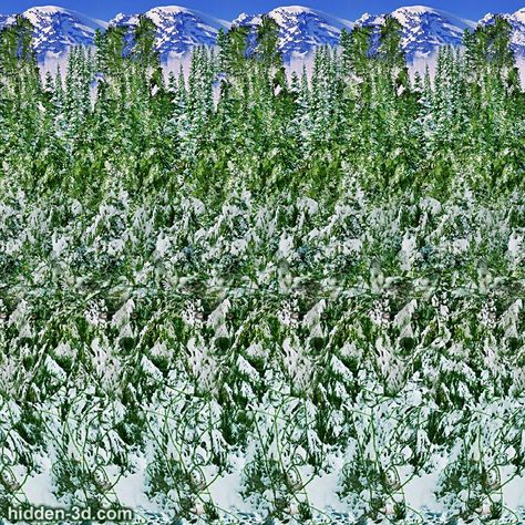 Stereogram by 3Dimka: Snow hunter. Tags: wolf forest trees snow winter, hidden 3D picture (SIRDS) 3d Hidden Pictures, Hidden 3d Images, 3d Stereograms, Optical Illusions Pictures, Magic Eye Pictures, Eye Illusions, 3d Maze, Magic Illusions, Illusion Pictures