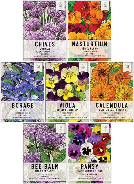 Amazon.com : Seed Needs, Edible Wildflower Seed Packet Collection ( 7 Varieties of Flower Seed for Planting) Non-GMO & Untreated - Includes Viola, Pansies, Chives, Borage, Calendula, Nasturtium and Bee Balm : Patio, Lawn & Garden Johnny Jump Up, Flower Seeds Packets, Best Edibles, Seed Packaging, Bakery Ideas, Butterfly Pea Flower, Bee Balm, Pea Flower, Herb Seeds