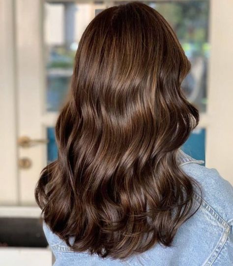 Ash Brown Hair Colors: 15 Stunning Examples You’ll Want to See Hair Color Ideas For Natural Curly Hair, Porcini Brown Hair, Toffee Hair Color Brown, Cappuccino Hair Color, Brunnet Hair, Milk Tea Hair Color Asian, Hazelnut Hair Color Brown, Brownie Brunette, Dark Ash Brown Hair Color