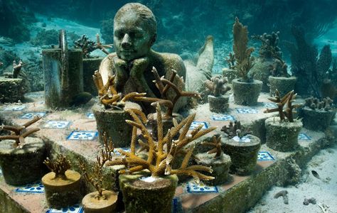 13 of the Most Unusual and Weird Museums in the World Underwater Museum, Jason Decaires Taylor, Underwater Sculpture, Sea Sculpture, Bawah Air, Fauna Marina, Groove Metal, Concrete Sculpture, Underwater Art