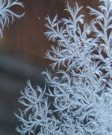 Frost on Glass: Ice Flower Art ~ Kuriositas Winters Tafereel, Winter Frost, Ice Crystals, Winter Magic, Airbrush Art, Winter Beauty, Snow And Ice, Winter Wonder, Zentangle Art