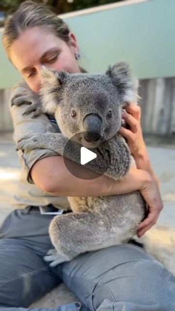 Baby Koala, Koala Baby, Wildlife Park, Australian Animals, Cute Family, Mom Kid, Cute Creatures, Koala Bear, Adorable Animals