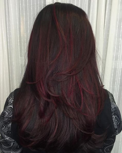 Magenta Red Highlights, Things To Do With Dark Brown Hair, Dark Hair With Coloured Highlights, Dyed Hair For Dark Brown Hair, Dark Brown Hair And Red Highlights, Brown To Dark Red Hair, Deep Cherry Red Hair Ombre, Dark Red Hair Pink Highlights, Hair With Dark Red Highlights