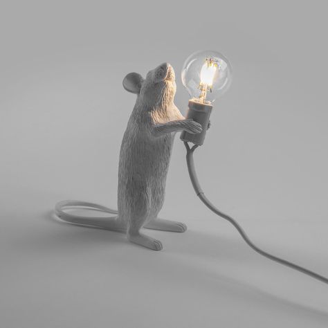 Leather mouse