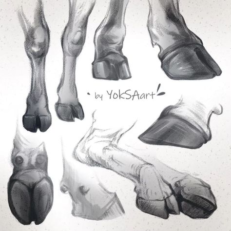 I've made some digital sketches focusing on cow legs and hooves. The purpose of these cow anatomy sketches was to practice and improve my drawing skills in this challenging area. In one of my art projects, cows play a significant role, and their legs and hooves have been a persistent source of frustration (omg those forms 😵‍💫) for me due to the difficulty in rendering them accurately. I had to take a break and dedicate time to sketching and improving it... . . . . . . #cowsketches #digitala... Cow Tutorial Drawing, Cow Ears Drawing Reference, Cow Legs Drawing, How To Draw Hooves, Cow Reference Drawing, Cow Sketch Drawings, Different Types Of Cows, Drawing Cows, Cow Anatomy