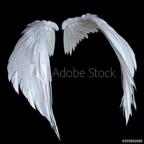 Fantasy Angel Wings, Pretty Instruments, Wings Inspiration, Wings Sketch, Angel Wings Drawing, Fantasy Angel, Angel Wings Art, White Angel Wings, Wings Drawing