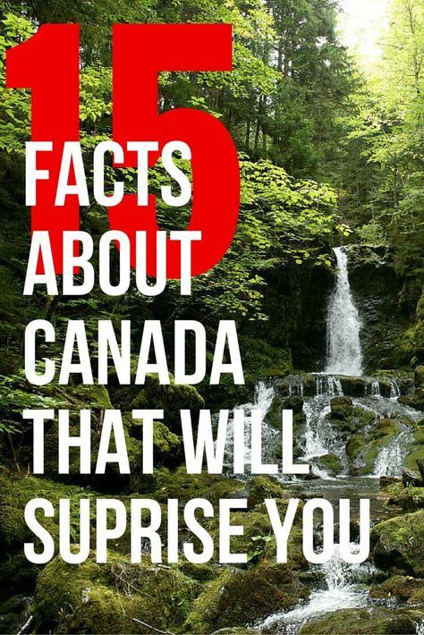 Canada Activities, Canada Facts, Canadian Facts, Canada Honeymoon, Canada Living, Facts About Canada, Canada Day Crafts, Canada Day Party, All About Canada