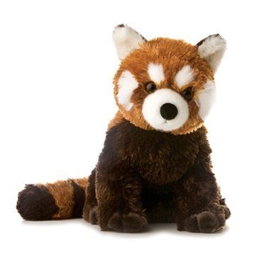 Red Panda Stuffed Animal, Red Panda Plush, Lesser Panda, Panda Stuffed Animal, Panda Plush, Endangered Animals, Cute Stuffed Animals, Red Panda, Animal Companions