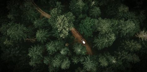 Aerial Views Landscape, Aerial Images, Wild Forest, Forest View, Forest Road, Drone Photos, Forest Photography, Aerial Photo, Wild Nature