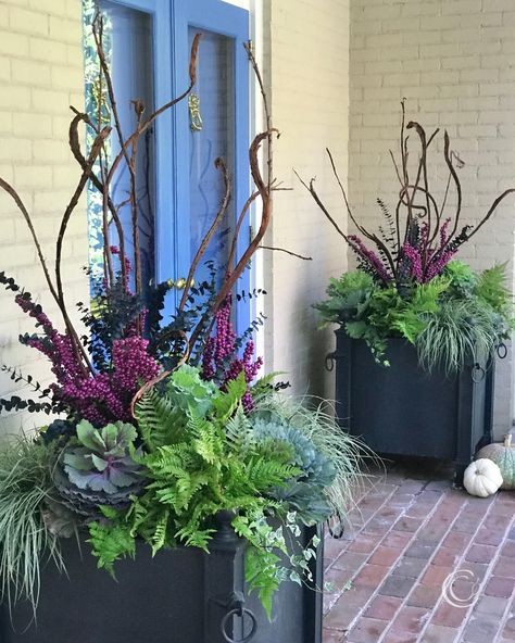 container gardening — Blog: Container Gardening Tips & Inspiration — Contained Creations Fall Urn, Fall Flower Pots, Fall Container Plants, Fall Pots, Fall Window Boxes, Fall Container Gardens, Winter Planter, Fall Containers, Container Garden Design