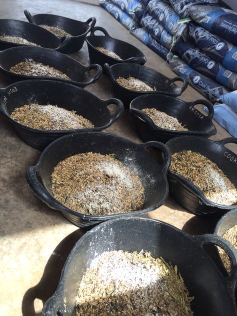 Neat Horse feed room Horse Feed Room, Feed Room, Horse Barn Ideas Stables, Stable Ideas, Dream Farm, Horse Games, Horse Feed, Barn Ideas, Horse Barns