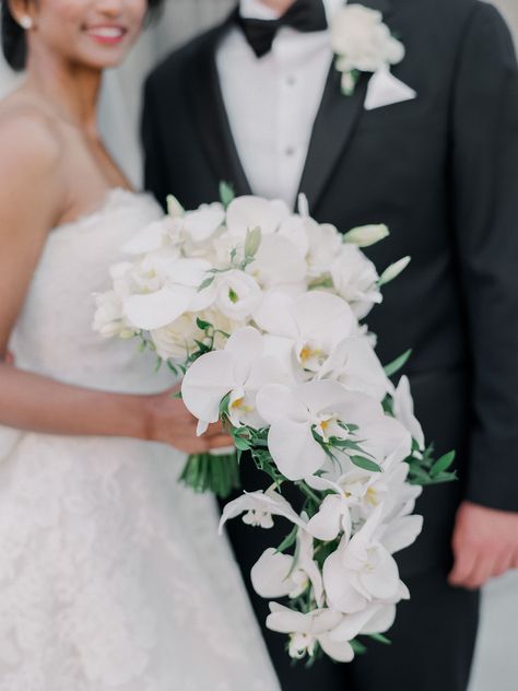 Bond Wedding, White Orchid Bouquet, Brides Flowers, Orchid Bridal Bouquets, Tropical Bridal Bouquet, Orchid Bouquet Wedding, Wedding Ceremony Pictures, Cascading Wedding Bouquets, Orchid Bouquet