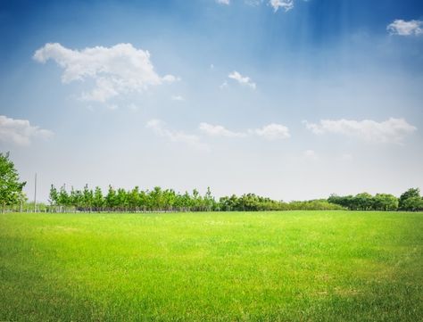 Park grass Free Photo | Free Photo #Freepik #freephoto #summer #light #cloud #green Studio Backdrops Backgrounds, Photo Background Images Hd, Forest Background, Blue Sky Background, Studio Backdrops, Sky Garden, Green Sky, Photo Background Images, Backdrops Backgrounds