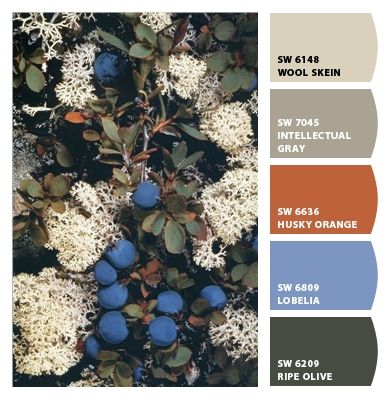 Ripe Olive Color Palette, Acacia Haze, Media Room Paint Colors, Tan Color Palette, Blue Pallets, Amazing Gray, Navy Color Scheme, Exterior Paint Schemes, Pewter Green