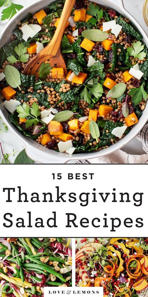 Thanksgiving Salads, Salad Skewers, Thanksgiving Salad Recipes, Thanksgiving Salad, Roasted Fennel, Green Bean Salads, Grain Salad, Brussel Sprout Salad, Autumn Salad