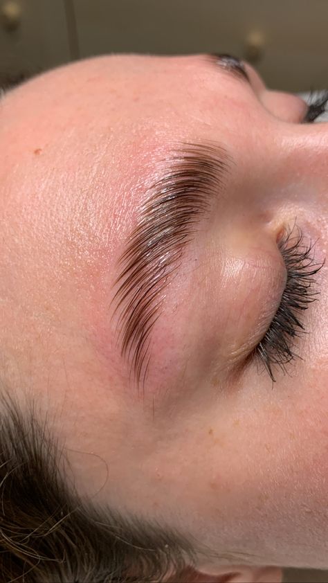 Photo of eyebrows after brow lamination Eye Lash Photography, Brow Threading, Instagram Brows, Lash Lifts, Brow Studio, Esthetician Marketing, Brow Tint, Girly Makeup, Brow Artist