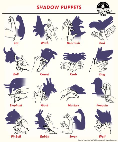 How to Make 16 Shadow Puppets | The Art of Manliness How To Do Shadow Puppets, Hand Puppets Shadow, Shadow With Hands, Flashlight Hand Shadows, Cool Shadow Puppets, Light Puppets Shadow Play, Diy Shadow Puppets, How To Make Shadow Puppets, Shadow Games For Kids