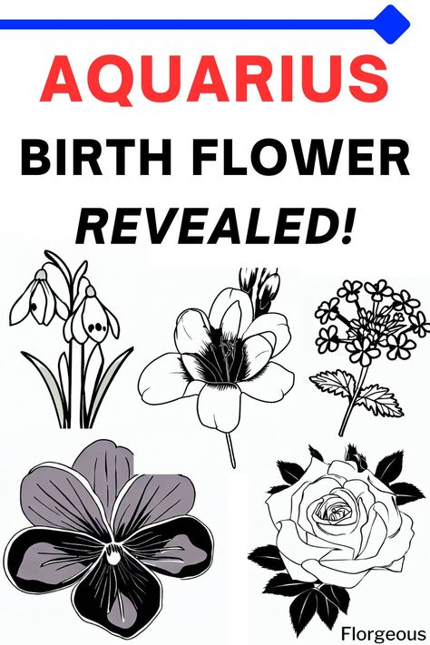 Aquarius Birth Flower Aquarius Birth Flower Tattoo, Aquarius Flower Tattoo, Aquarius Birth Flower, Aquarius Power, Aquarius Flower, February Aquarius, February Birth Flowers, Signs Astrology, Flower Symbol