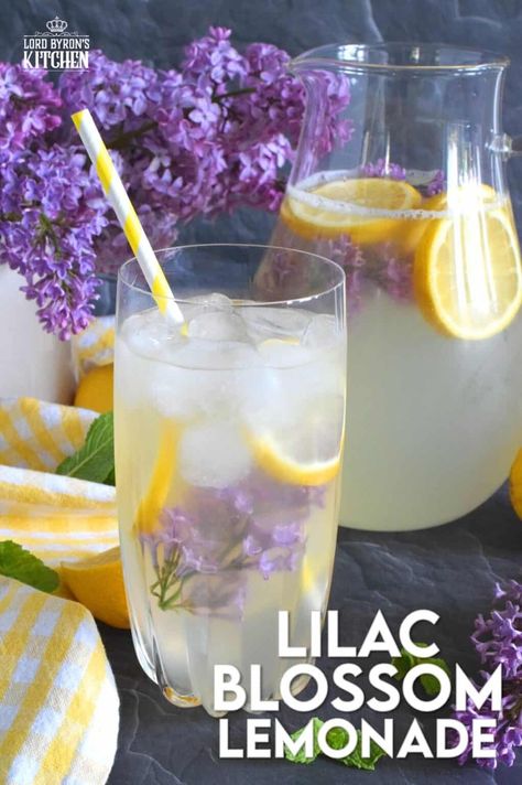 There’s nothing like the taste of perfectly sweet, tart and aromatic homemade Lilac Blossom Lemonade on a hot summer day. Prepared with lots of freshly squeezed lemon juice and an easy-to-prepare lilac-infused granulated sugar, this drink is sure to quench your thirst and wake up your senses! #lilac #flowers #blossom #recipes #lemon #lemonade Lilac Lemonade Recipe, Lilac Drink, Lilac Recipes, Lilac Lemonade, Shower Vibes, Turkey Breakfast, Squeezed Lemon, Lilac Blossom, Lemon Lemonade