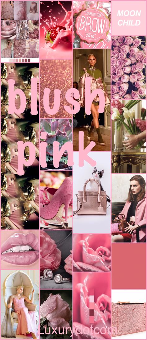 Pink Mood Board, Creative Website Design Inspiration, Mood Board Fashion Inspiration, Theme Board, Mood Bored, Rosé Theme, Creative Website Design, Color Board, Website Ideas