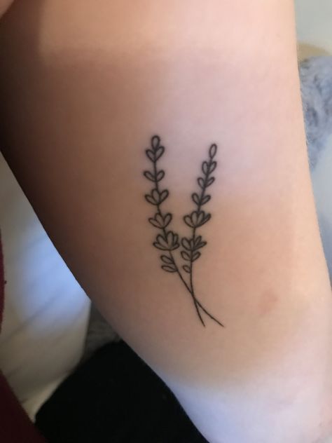 Lavender Stick And Poke, Lavender Tattoo Queer, Lavender Outline Tattoo, Flower Tattoos Lavender, Small Lavender Tattoo, Teeny Tattoos, Heather Tattoo, Lavender Tattoos, Lilac Tattoo