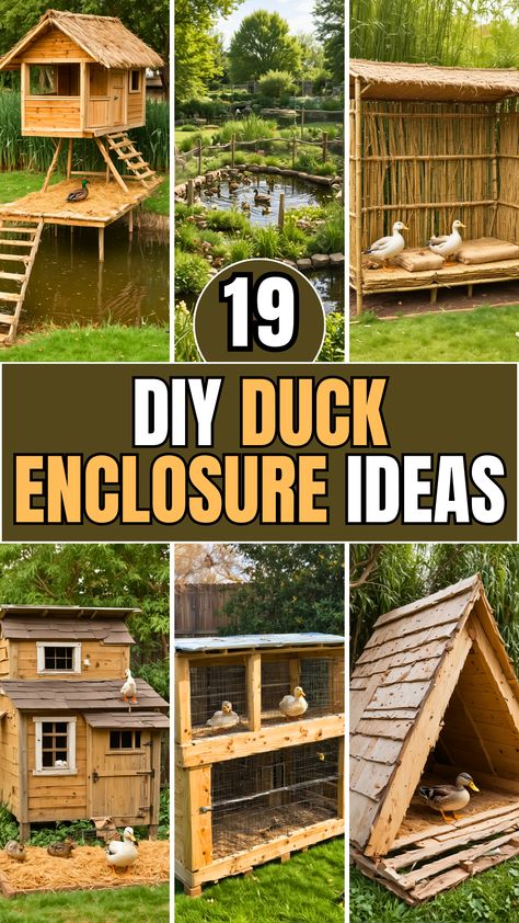 19 DIY Duck Enclosure Ideas – The DIY Desire Duck Pens Ideas, Duck Pen Ideas Diy Simple, Duck Playground, Chicken Pen Ideas Diy, Diy Duck Enclosure Ideas, Duck Pen Ideas, Diy Duck Enclosure, Duck Enclosure Ideas, Duck House Ideas