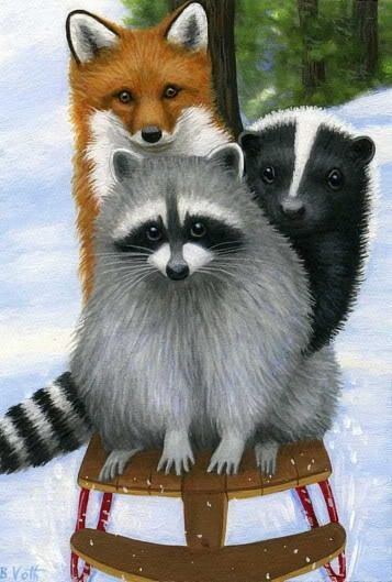 raccoons foxes | Raccoon Skunk and Fox | Wildlife Raccoon Illustration, Animal Friendships, Raccoon Art, Inside Joke, Precious Animals, Fox Illustration, Wildlife Prints, Woodland Friends, Fox Art