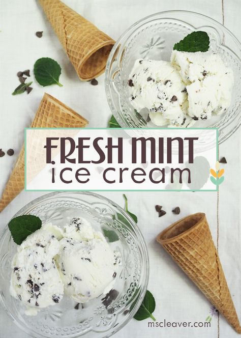 Mint Chip Ice Cream Recipe, Fresh Mint Ice Cream, Mint Ice Cream Recipe, Mint Recipes Fresh, Homemade Mint Chocolate Chip Ice Cream, Mint Chocolate Chip Ice Cream Recipe, Recipe With Chocolate Chips, Homemade Ice Cream Recipes Machine, Kitchen Aid Ice Cream