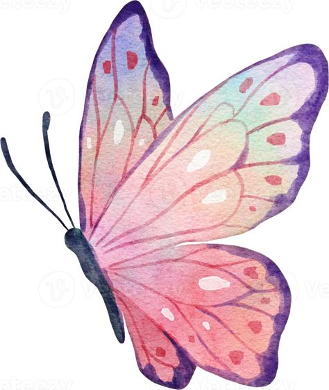 Butterfly Watercolor Illustration Butterfly Drawing Illustration, Cute Drawings Of Butterflies, Two Butterfly Drawing, Simple Art Illustration, Buterfluffy Illustration, Simple Butterfly Watercolor, Butterfly In Watercolor, Butterfly Digital Art Illustrations, Butterfly Illustration Art Design