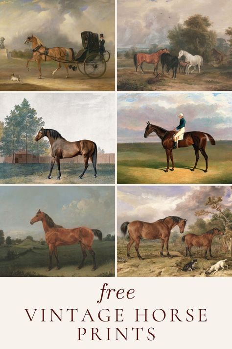 These free vintage horse prints are great to add to your home and they are FREE! In our barndominium upstairs bunk room I wanted to add art that (1) wasn’t expensive and (2) felt like classic countryside. You know…casual but with sophistication. These vintage horse prints above each twin bed adds a little color and whimsy too while still being classic. Get your hands on these vintage horse prints. Just download, print, frame and display anywhere you like. Sam Snead, Printable Vintage Art, Free Wall Art, Horse Posters, Fox Decor, Horse Artwork, Free Printable Wall Art, Equestrian Decor, Equestrian Art