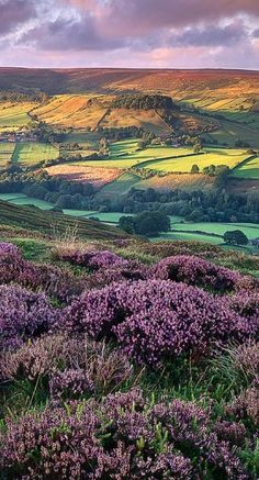 Scenic vista in Rosedale, North Yorkshire, England • photo: Katty Paris on Flickr Magic Places, Matka Natura, Have Inspiration, Greenwich Village, Yorkshire England, Rolling Hills, English Countryside, Pretty Places, North Yorkshire