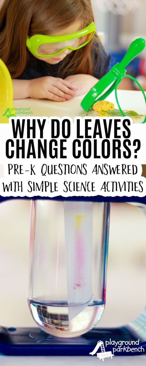 Learn the science behind Fall Leaves with this simple science activity for… Fall Science Activities, Pre-k Science, Fall Science, Mad Scientists, Preschool Stem, Simple Science, Science Activity, Fall Preschool, Science Activities For Kids