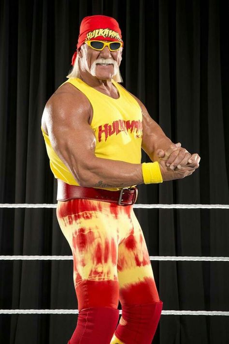 HBD Hulk Hogan August 11th 1953: age 65 The Rock Wrestler, Hulk Hogan Halloween, Hulk Hogan Costume, Wwe Hulk Hogan, Wwe Trish, Andre The Giant, Wrestling Stars, Ultimate Warrior, Wwe Legends