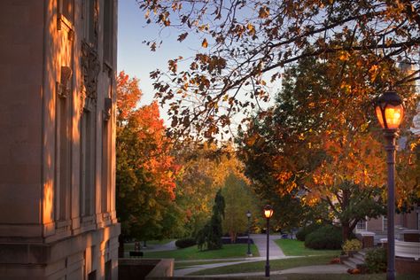 College Halloween Aesthetic, Lafayette College, Leaves Falling, Fall Mood Board, Stars Hollow, Season Of The Witch, Fall Feels, Autumn Vibes, Best Seasons