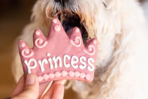 Easy Icing for Dog Treats Dog Icing Recipe, Dog Treat Icing Recipe, Pumpkin Spice Sugar Cookies, Cookies With Sprinkles, Dog Cookie Recipes, Spice Sugar Cookies, Dog's Birthday, Easy Icing, Cookie Countess