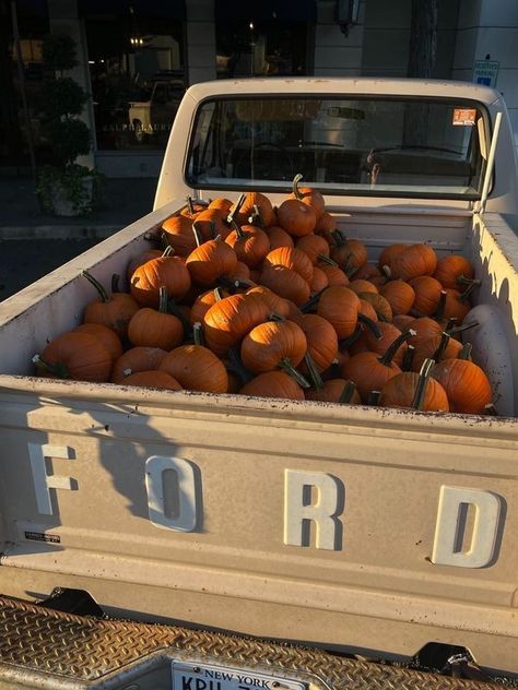 Fall Boards, Anna Karina, Fall Mood Board, Jeanne Damas, Wallpaper Halloween, Pumpkin Spice Season, Fall Inspo, Fall Feels, Fall Pictures