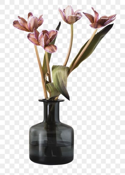 Vase Flowers Decor, Room Decor Png, Interior Plants Decoration, Vase With Plant, Plant In Vase, Vase Png, Furniture Png, Flower In A Vase, Vases With Flowers